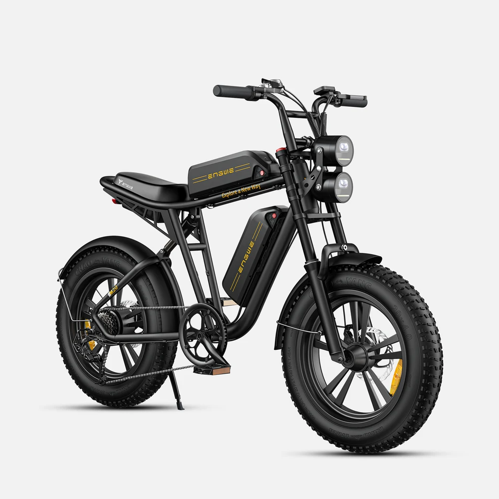 ENGWE M20